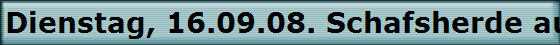 Dienstag, 16.09.08. Schafsherde auf der Wanderung