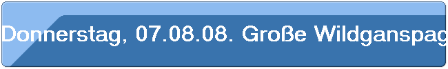 Donnerstag, 07.08.08. Gro�e Wildganspagode in Xian