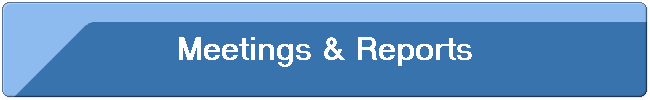 Meetings & Reports
