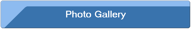 Photo Gallery Photo Gallery