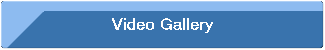 Video Gallery
