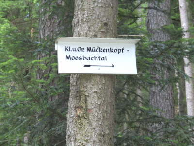 Mittwoch, 10. bis Montag, 15.06.09. Fr�hjahrswanderung rund um Erfweiler.