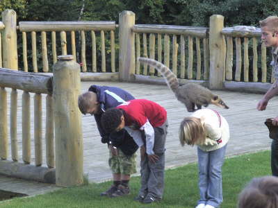 Mittwoch, 17.09.08. Wildpark L�neburger Heide.