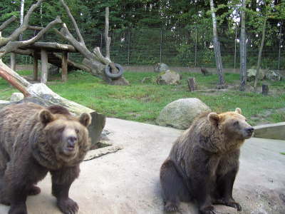 Mittwoch, 17.09.08. Wildpark L�neburger Heide.