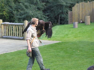 Mittwoch, 17.09.08. Wildpark L�neburger Heide.