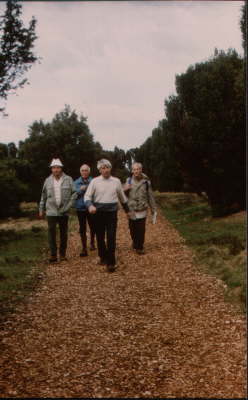 1984 fand unsere erste Sommerwanderung in der L�neburgerheide statt.